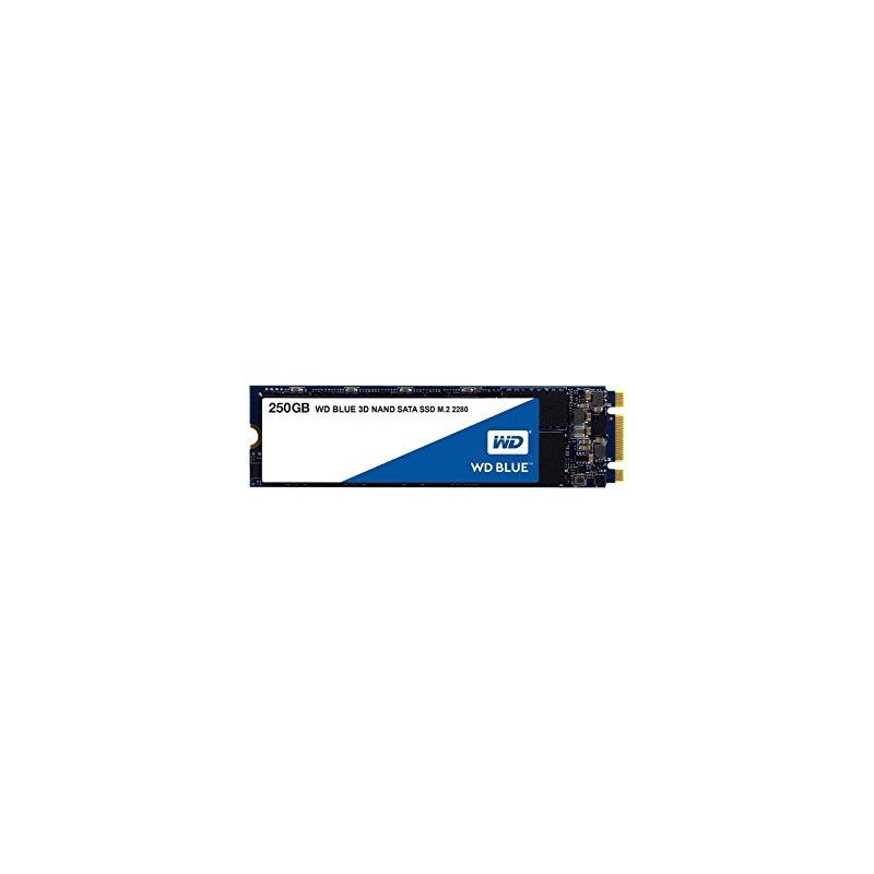 HARD DISK SSD 250GB BLUE M.2 (WDS250G2B0B)