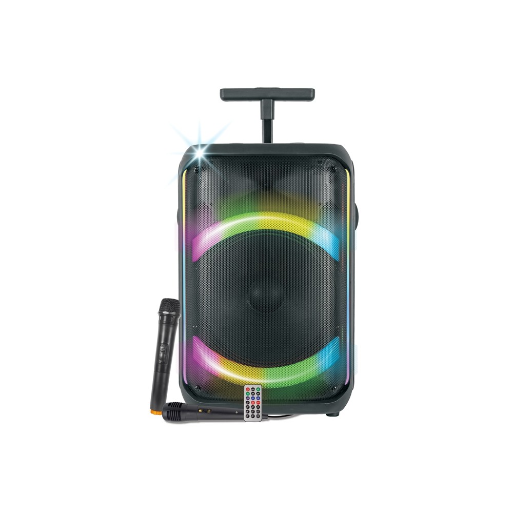 CASSA AUDIO DIFFUSORE AMPLIFICATO AURALIS CON RADIOMICROFONO - WOOFER 12"