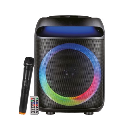 CASSA AUDIO DIFFUSORE AMPLIFICATO SONETRA CON RADIOMICROFONO - WOOFER 8"