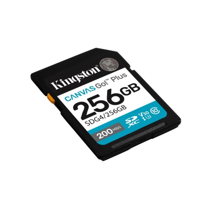 SECURE DIGITAL 256 GB CANVAS GO PLUS (SDG4/256GB) CLASS10 UHS-I U3 V30