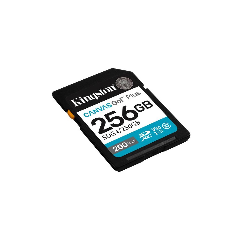 SECURE DIGITAL 256 GB CANVAS GO PLUS (SDG4/256GB) CLASS10 UHS-I U3 V30