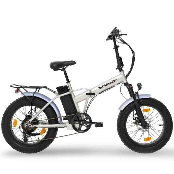 BICI ELETTRICA CON PEDALATA ASSISTITA BK-FM01-ES - RUOTE 20" - 250W - SILVER