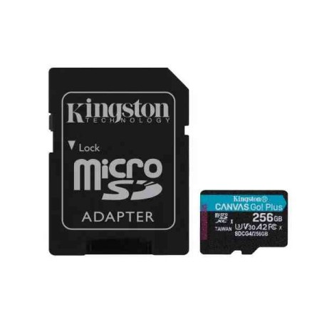 TRANS FLASH 256 GB CANVAS GO PLUS (SDCG4/256GB) CLASS 10 CON ADATTATORE