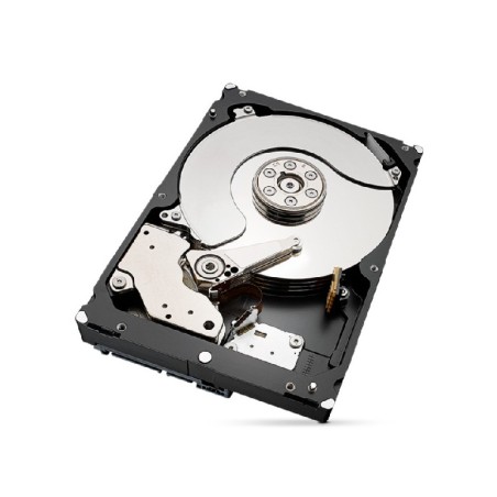 HARD DISK 4 TB IRONWOLF PRO SATA 3 3.5" NAS (ST4000NT001)