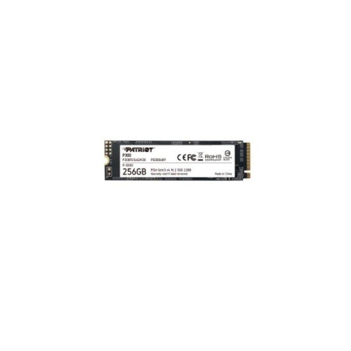 HARD DISK SSD 256GB M.2 (P300P256GM28) NVME