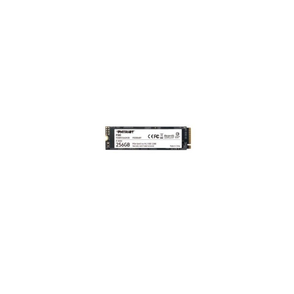 HARD DISK SSD 256GB M.2 (P300P256GM28) NVME