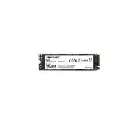 HARD DISK SSD 256GB M.2 (P300P256GM28) NVME
