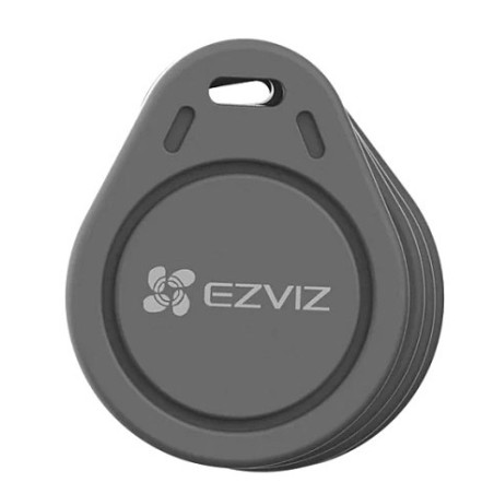 TELECOMANDO DI ACCESSO SENZA CHIAVI E CHIAVE ELETTRONICA (CS-DL-IC-CPU-R200-GR)