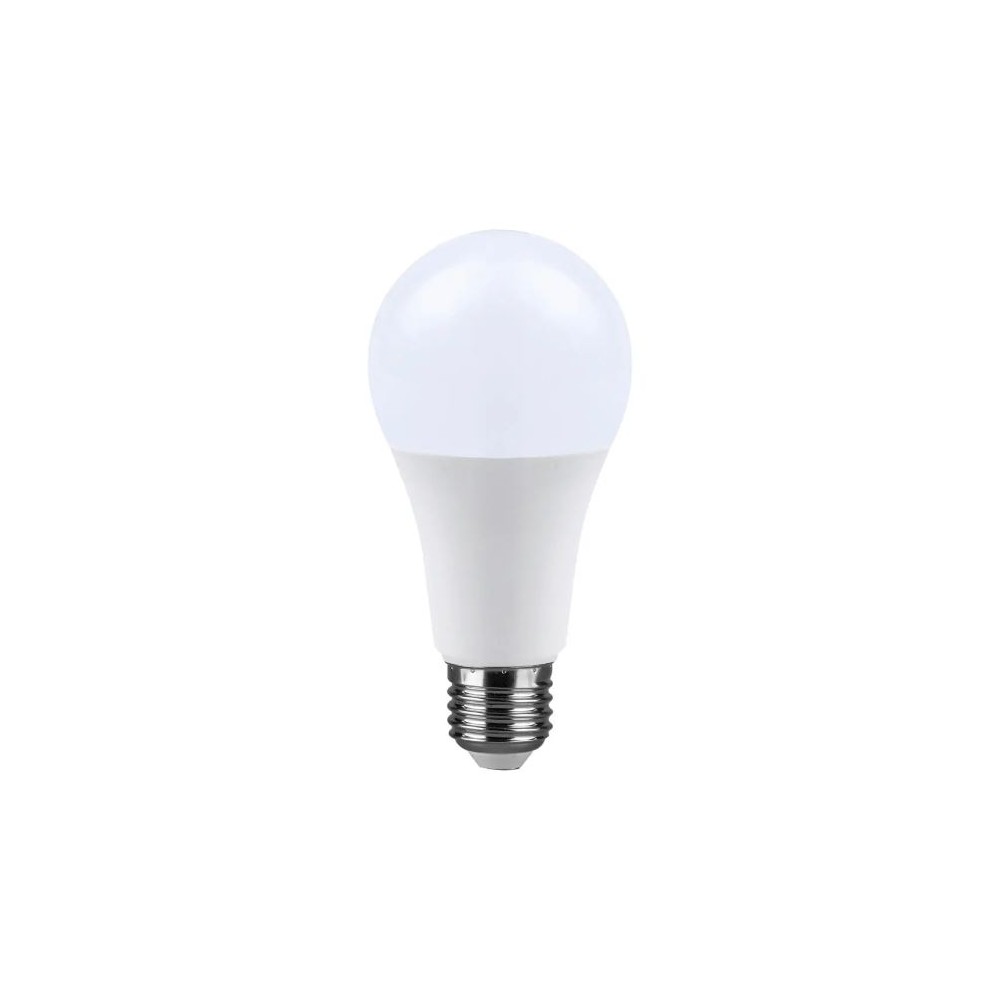 LAMPADINA A LED 15W E27 A65 6500K (2144556)