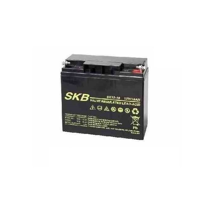 BATTERIA AL PIOMBO RICARICABILE 12V 18AH CON TERMINALI VITE/BULLONE 38641705