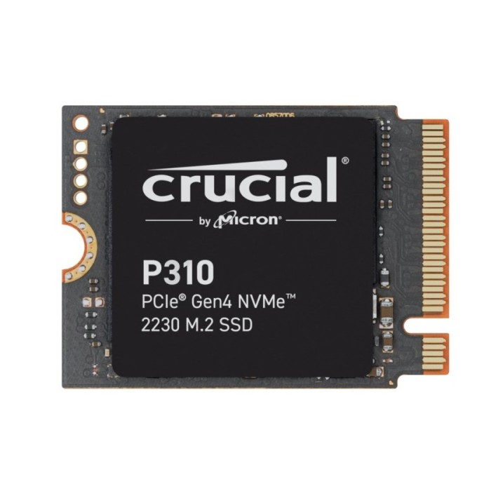 HARD DISK SSD 1TB P310 GEN4 NVME 2230 (CT1000P310SSD2)