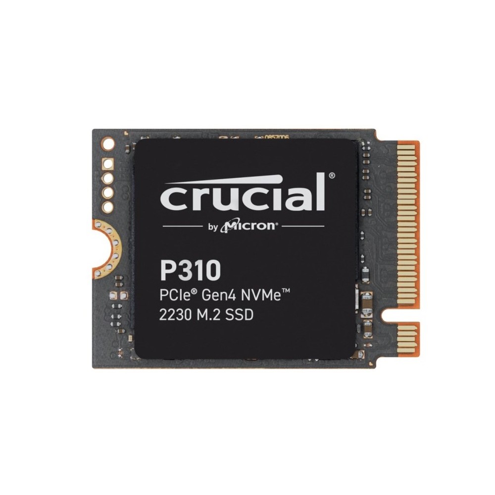 HARD DISK SSD 1TB P310 GEN4 NVME 2230 (CT1000P310SSD2)