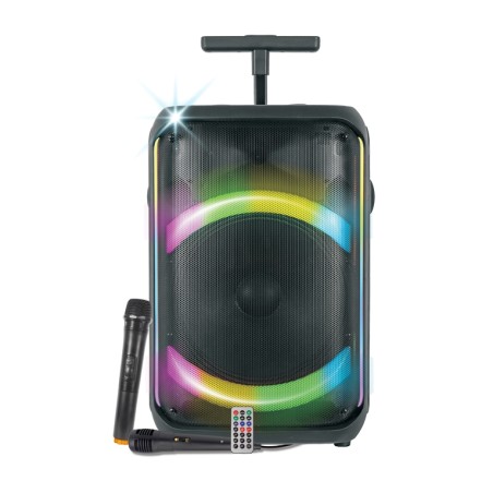 CASSA AUDIO DIFFUSORE AMPLIFICATO AURALIS CON RADIOMICROFONO - WOOFER 12"